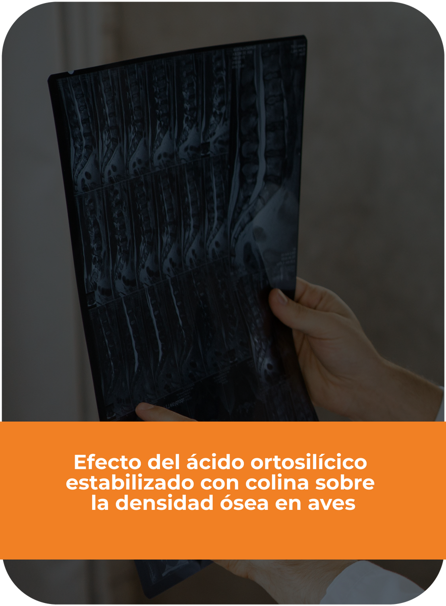 Estudio clínico