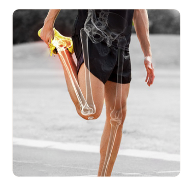 Promueve Huesos fuertes y flexibles